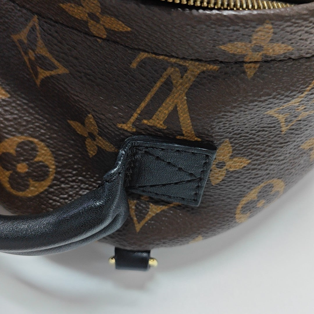 PALM SPRINGS Mini Monogram Coated Canvas Brown