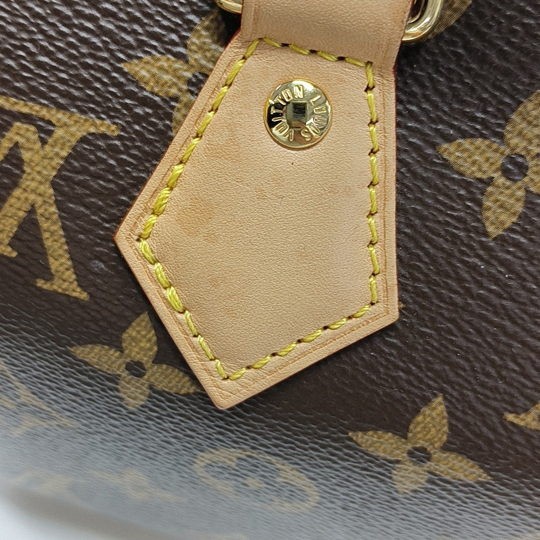 SPEEDY 20 Monogram Coated Canvas Brown