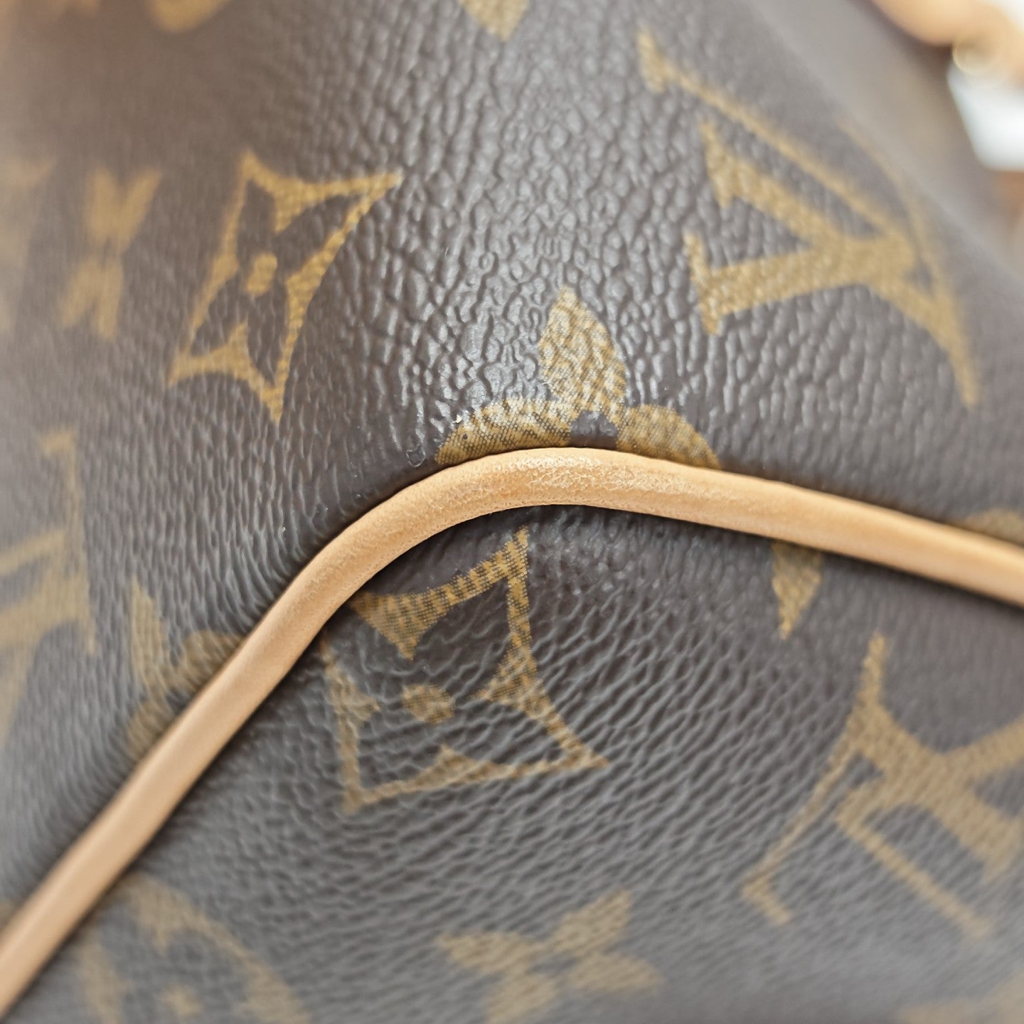 SPEEDY 20 Monogram Coated Canvas Brown