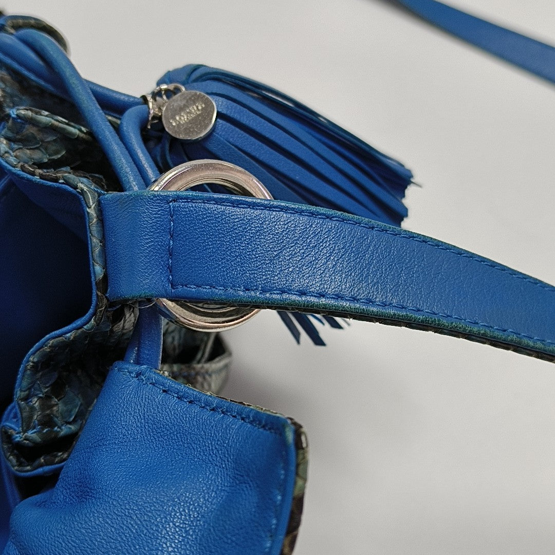 Flamenco Python Blue