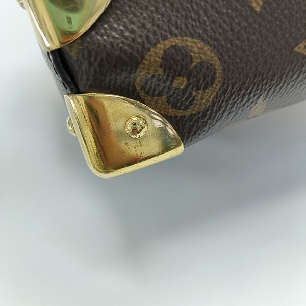 CAMERA BOX Monogram Coated Canvas Brown