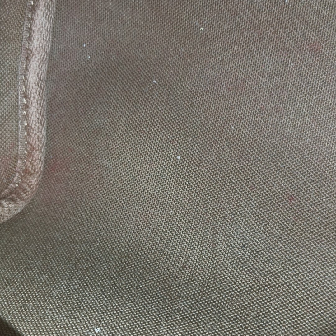 SPEEDY Nano Monogram Coated Canvas Brown