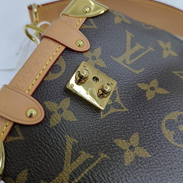 SIDE TRUNK PM Monogram Coated Canvas Brown