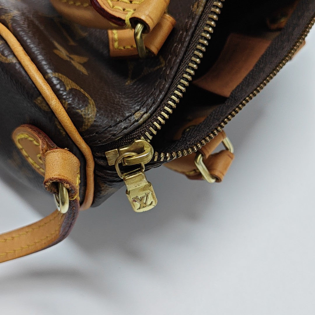 SPEEDY Nano Monogram Coated Canvas Brown