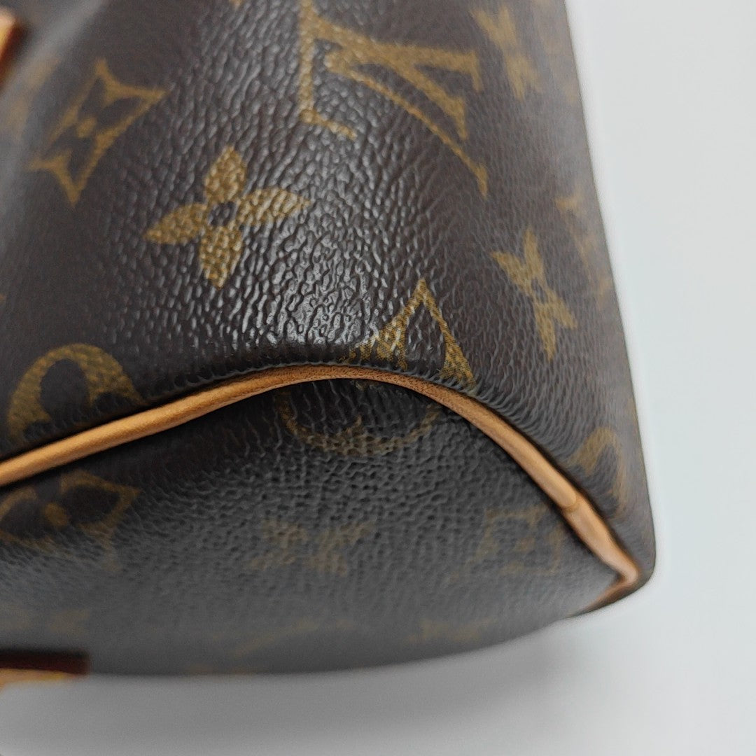 SPEEDY Nano Monogram Coated Canvas Brown