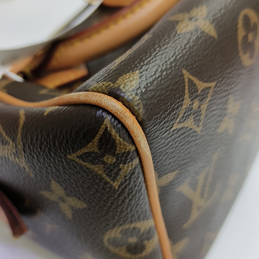 SPEEDY 20 Monogram Coated Canvas Brown