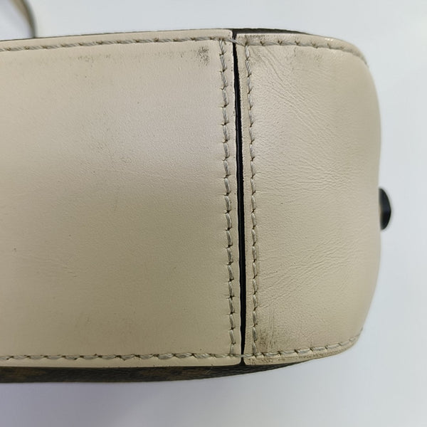 SAINTONGE Monogram Coated Canvas Brown