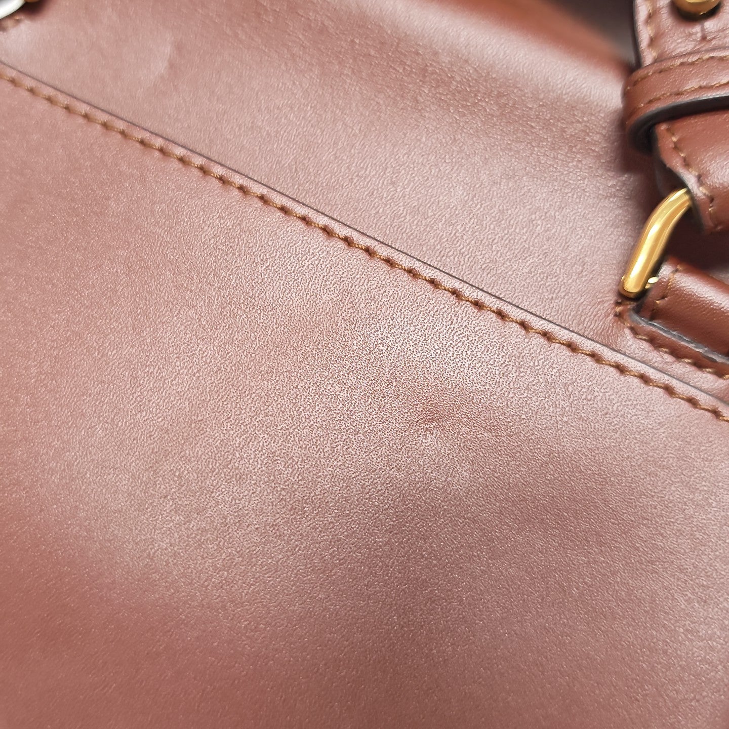 Baguette Mini Calfskin Red