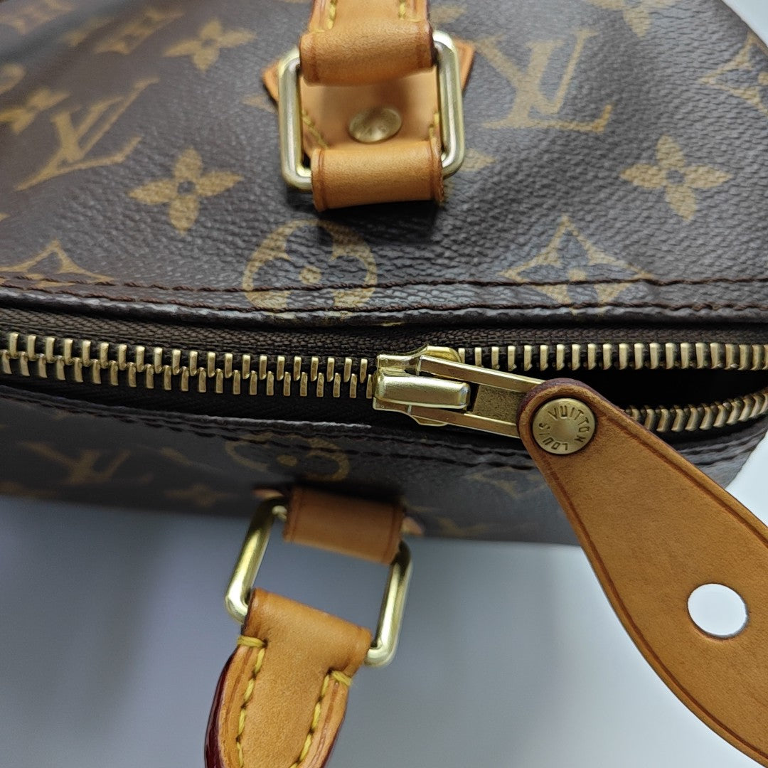 SPEEDY 25 Monogram Coated Canvas Brown