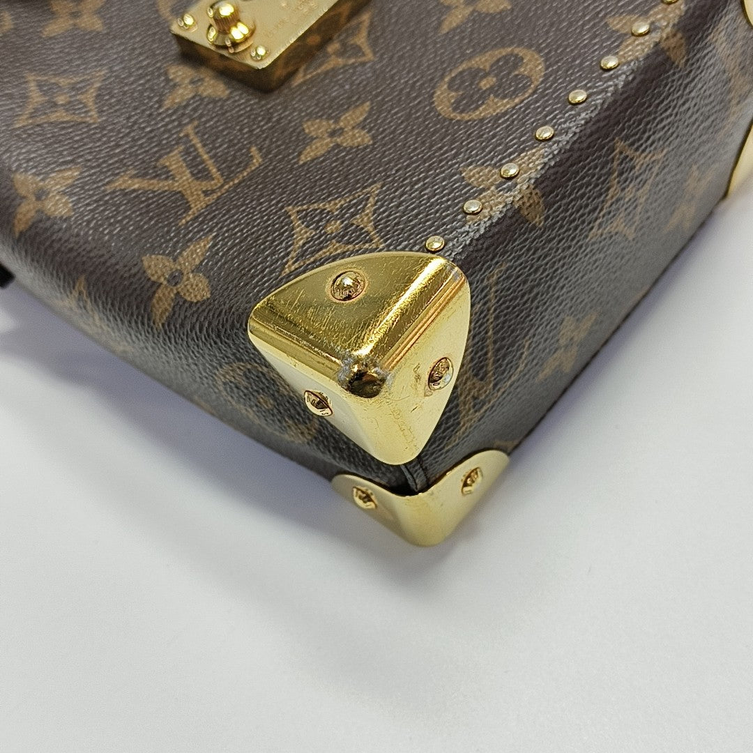 CAMERA BOX Monogram Coated Canvas Brown