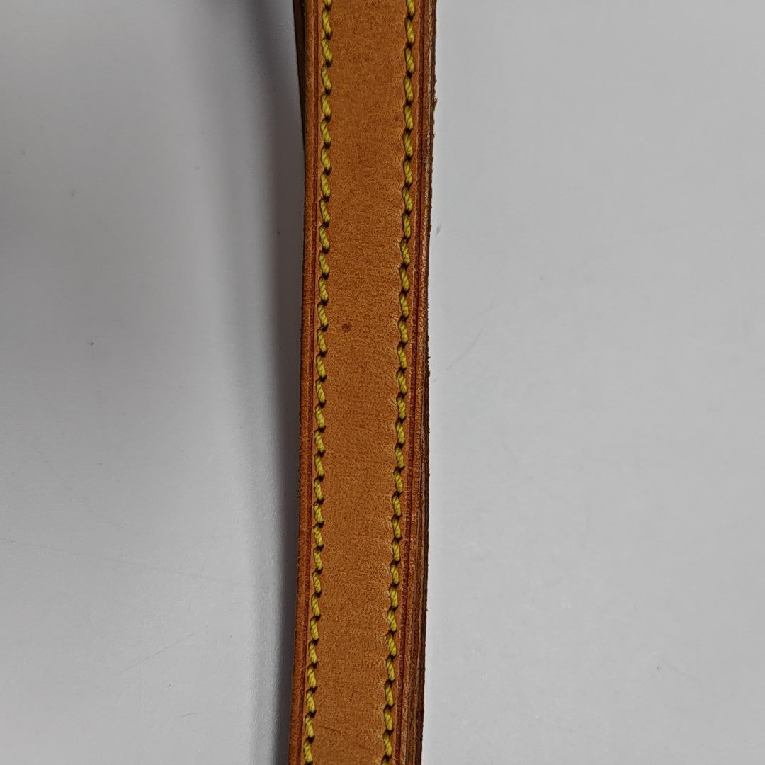 ELLIPSE MM Monogram Coated Canvas Brown