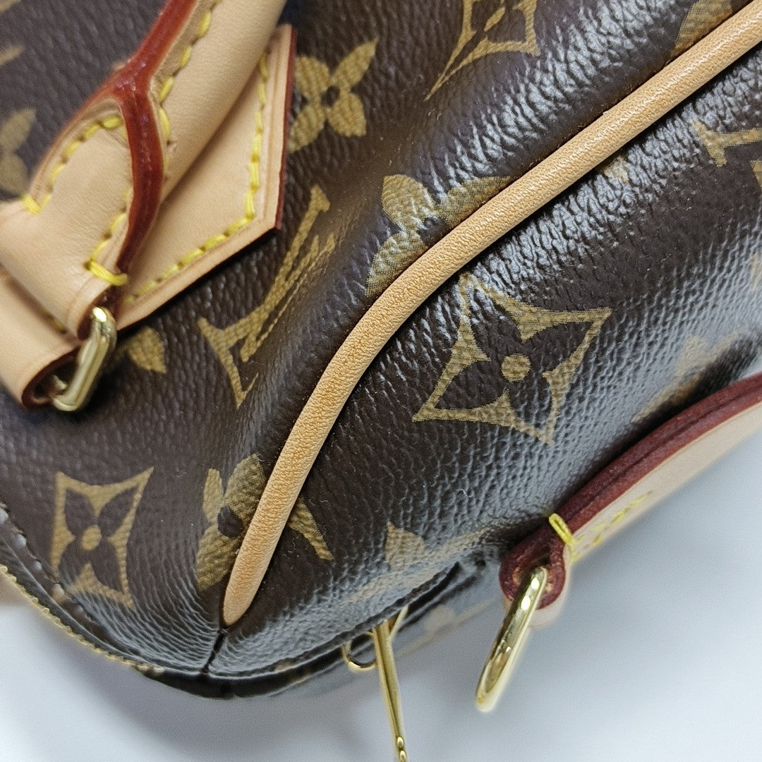 SPEEDY 20 Monogram Coated Canvas Brown