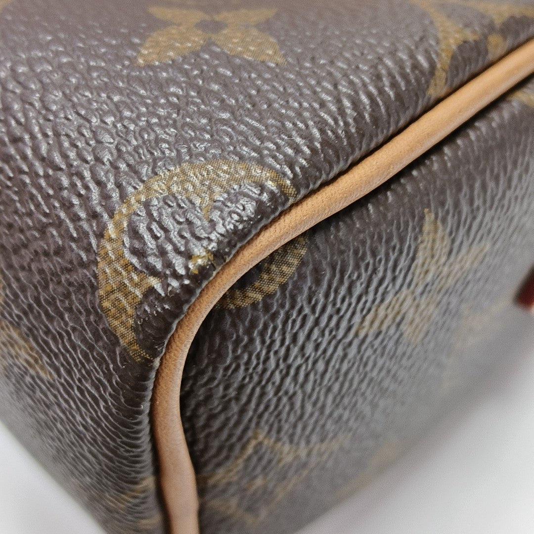 SPEEDY Nano Monogram Coated Canvas Brown