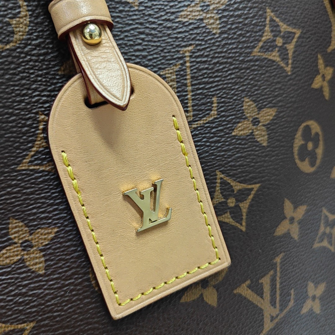 CARRYALL PM Monogram Coated Canvas Brown
