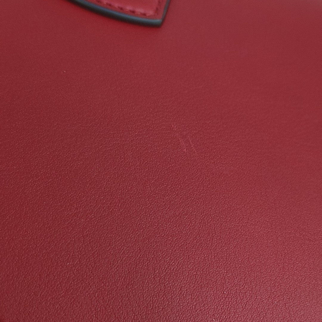 Dionysus Medium Calfskin Red