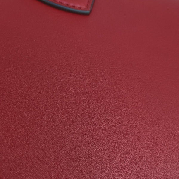 Dionysus Medium Calfskin Red