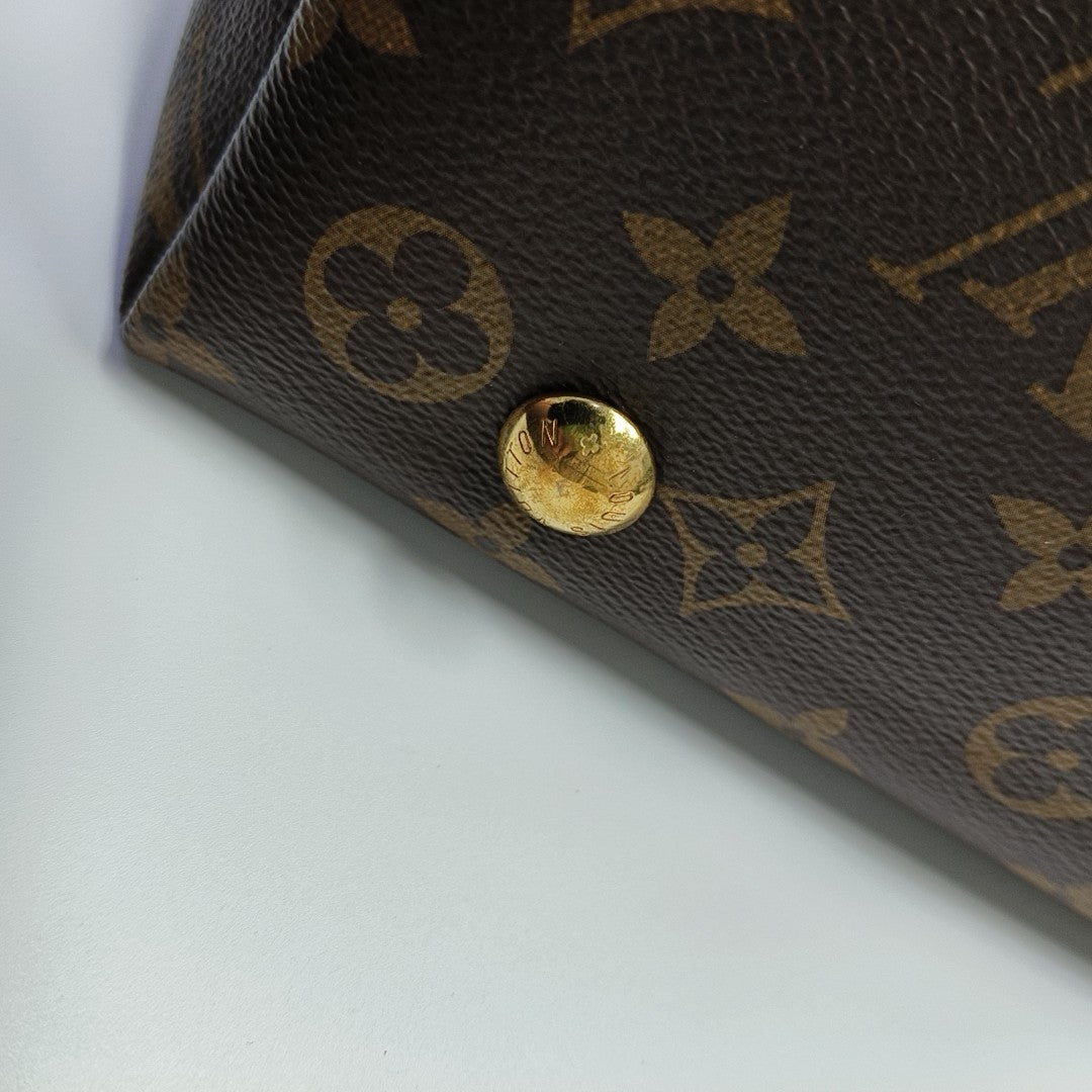 CARRYALL PM Monogram Coated Canvas Brown