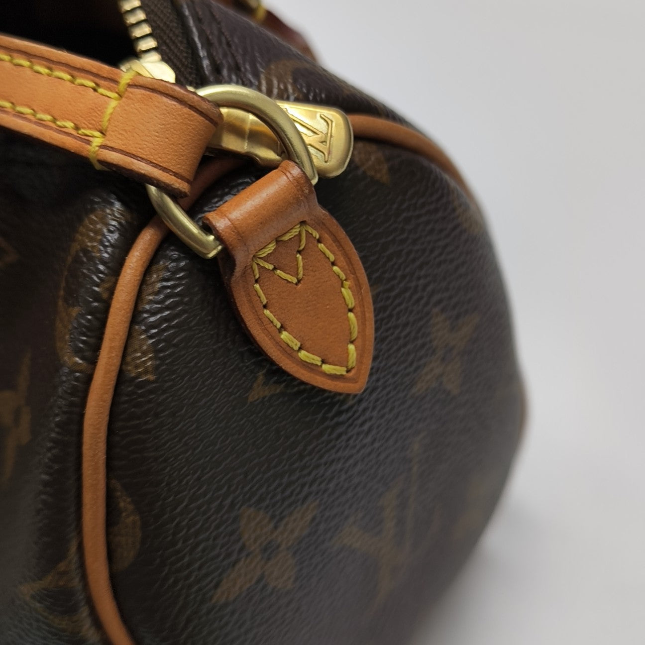 SPEEDY Nano Monogram Coated Canvas Brown