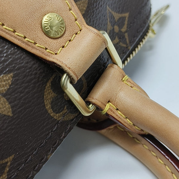 SPEEDY 25 Monogram Coated Canvas Brown