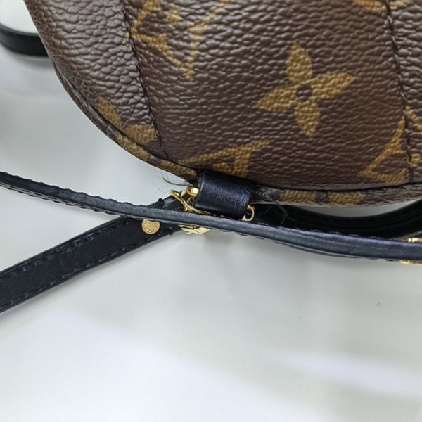 PALM SPRINGS Mini Monogram Coated Canvas Brown