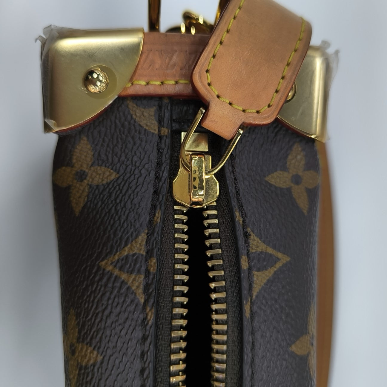 SIDE TRUNK PM Monogram Coated Canvas Brown