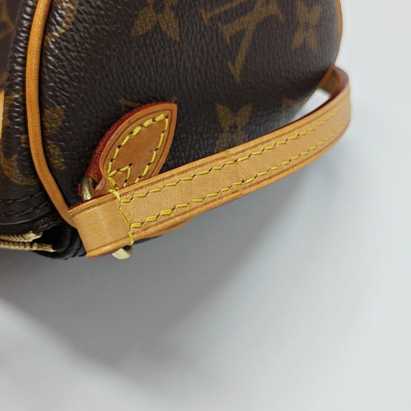 SPEEDY Nano Monogram Coated Canvas Brown