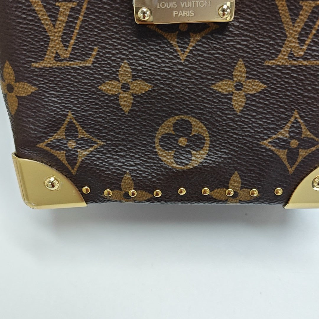 CAMERA BOX Monogram Coated Canvas Brown