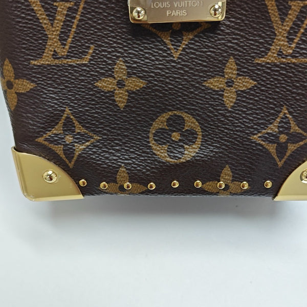 CAMERA BOX Monogram Coated Canvas Brown