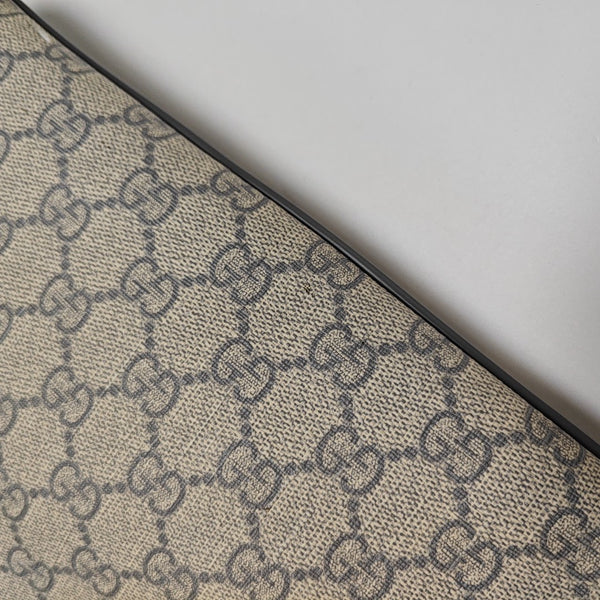 Messenger Monogram Coated Canvas Beige