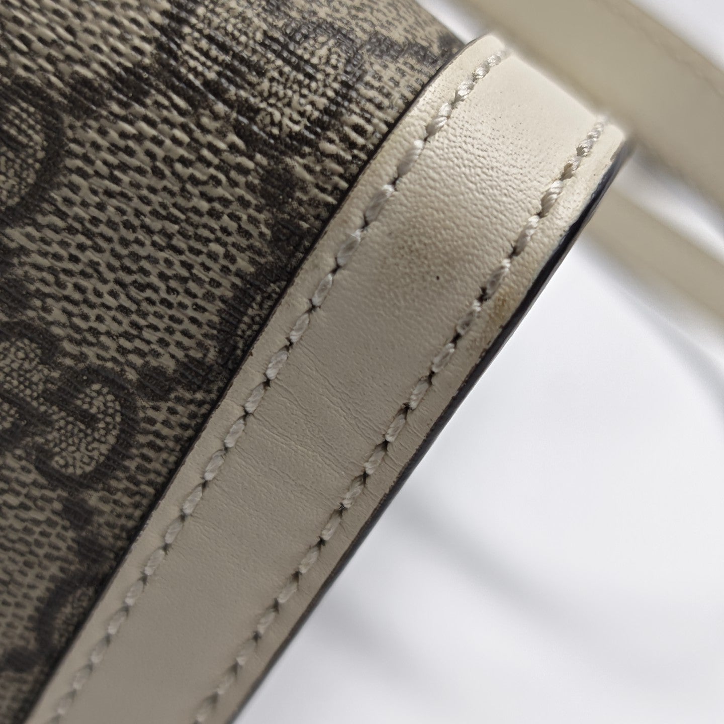 Padlock Small Monogram Coated Canvas Beige