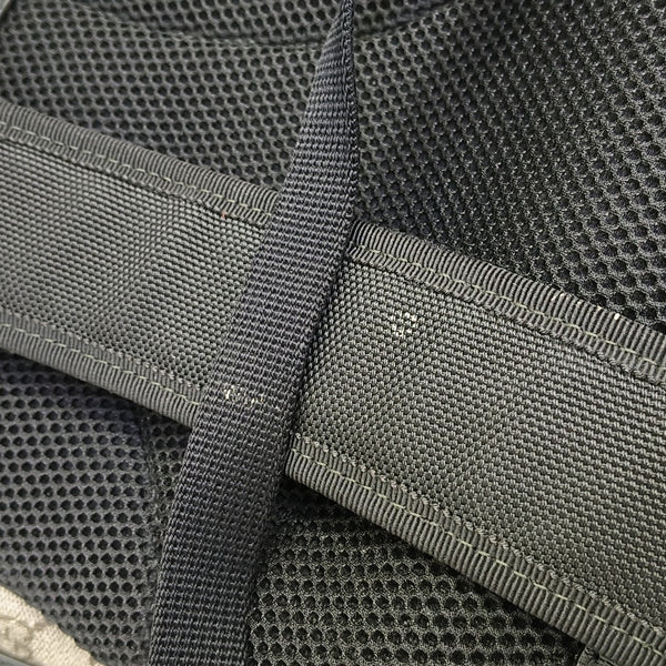 Monogram Coated Canvas Backpack Small Brown