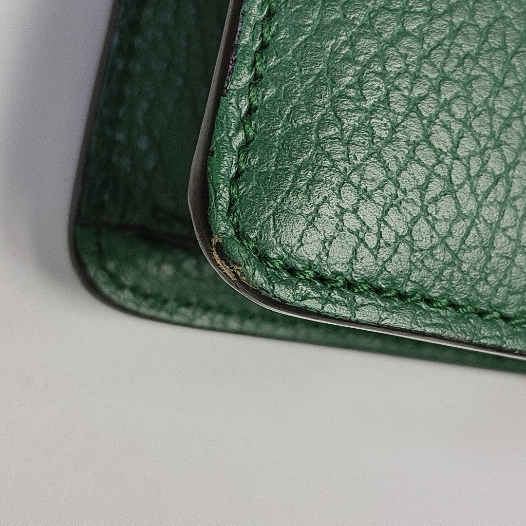 Dionysus Mini Calfskin Green