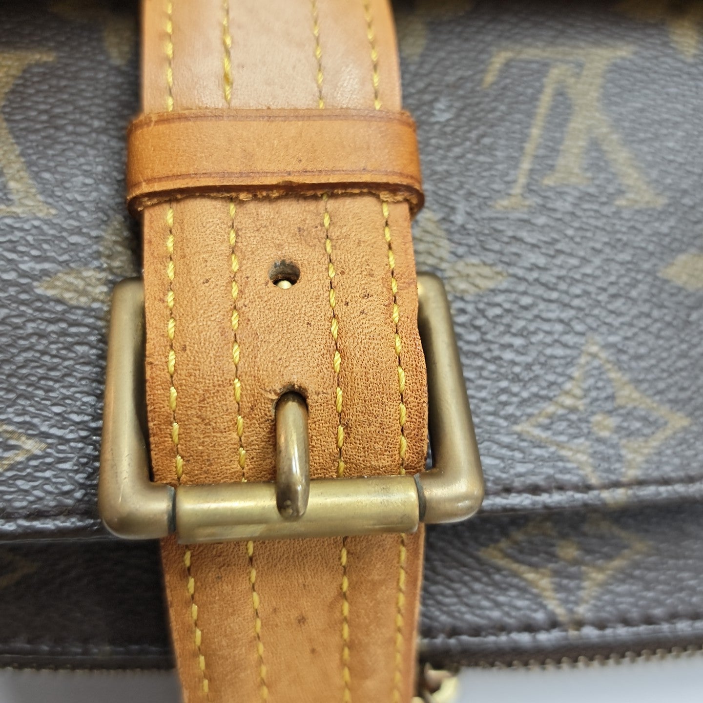 MULTIPLE Monogram Coated Canvas Brown