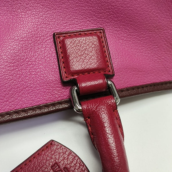 Amazona Calfskin Red