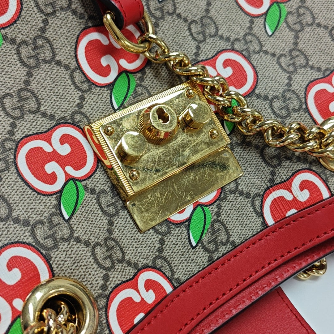 Padlock Small Monogram Coated Canvas Multicolor