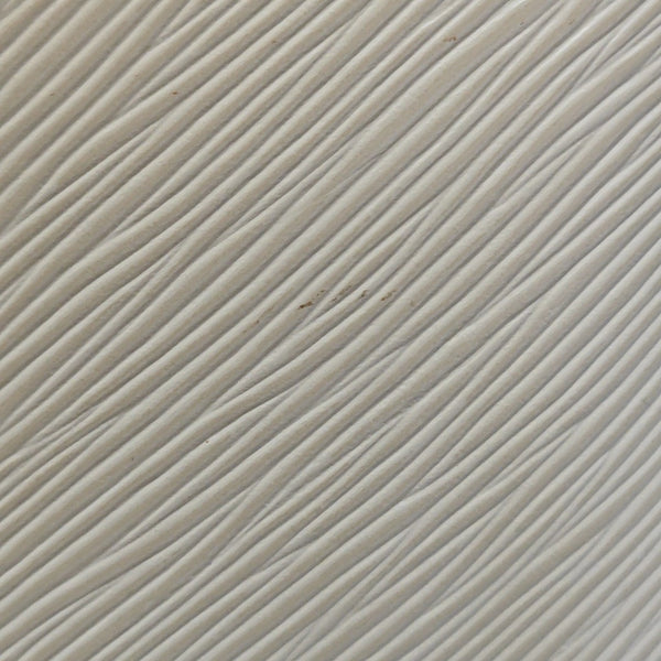 BUCI Epi White