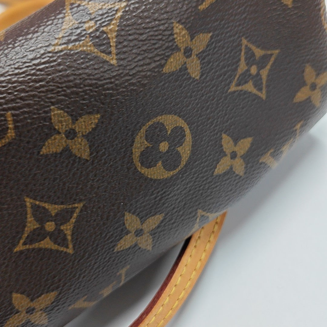 SPEEDY Nano Monogram Coated Canvas Brown