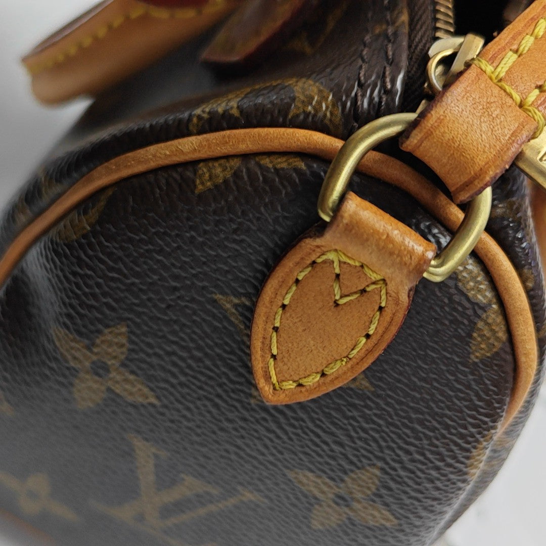 SPEEDY Nano Monogram Coated Canvas Brown