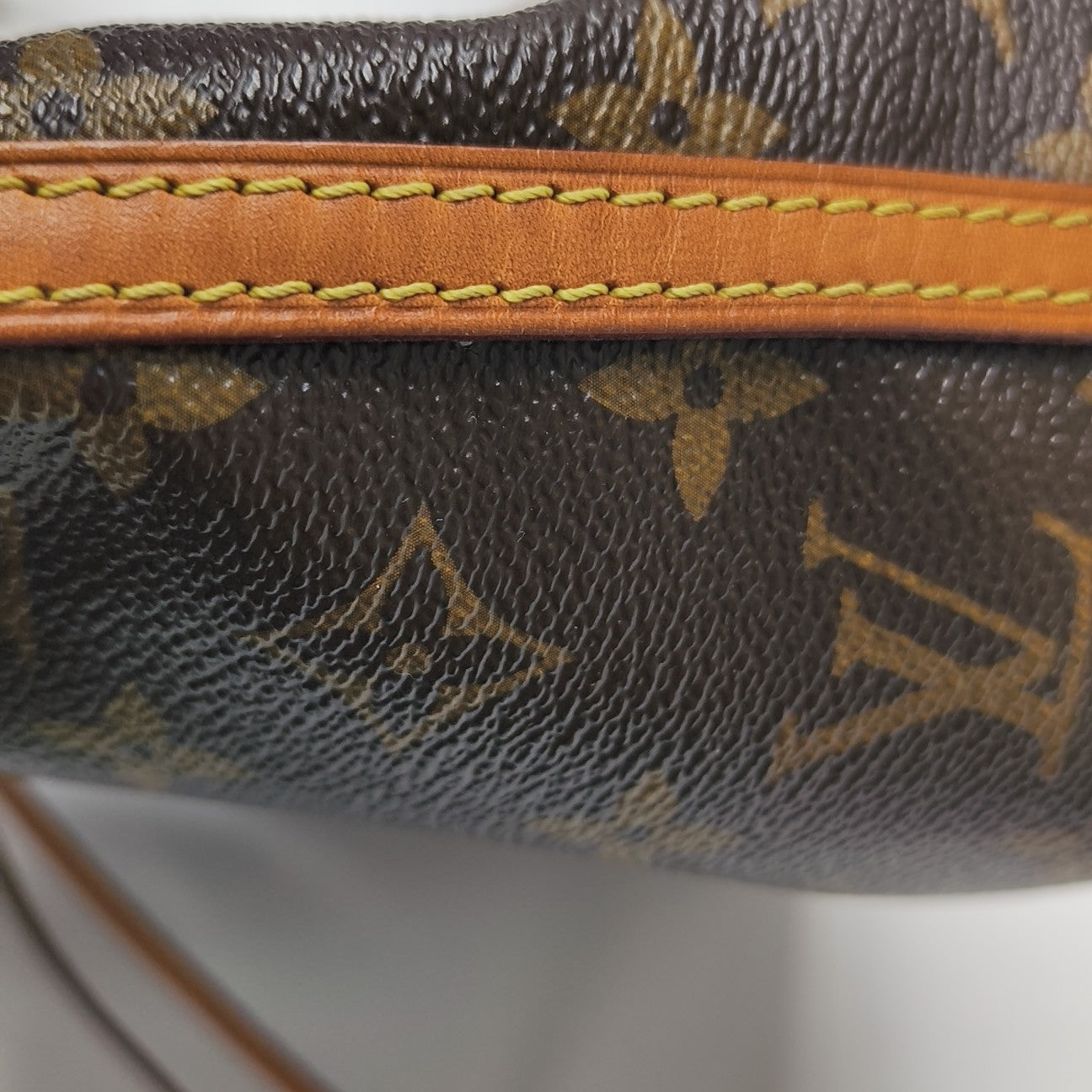 NÉONOÉ Nano Monogram Coated Canvas Brown