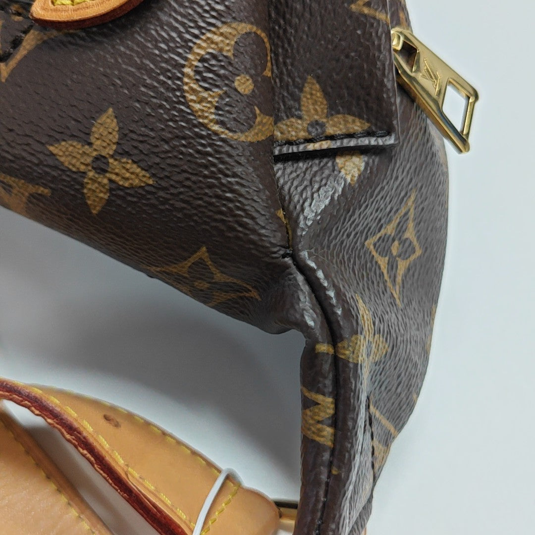 BUMBAG Monogram Coated Canvas Brown