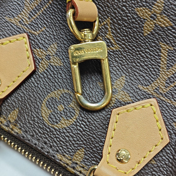 SPEEDY Nano Monogram Coated Canvas Brown
