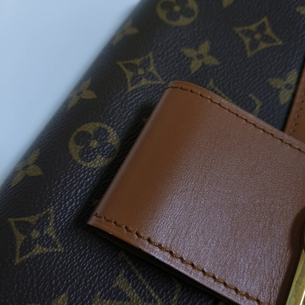 DAUPHINE MM Monogram Coated Canvas Brown