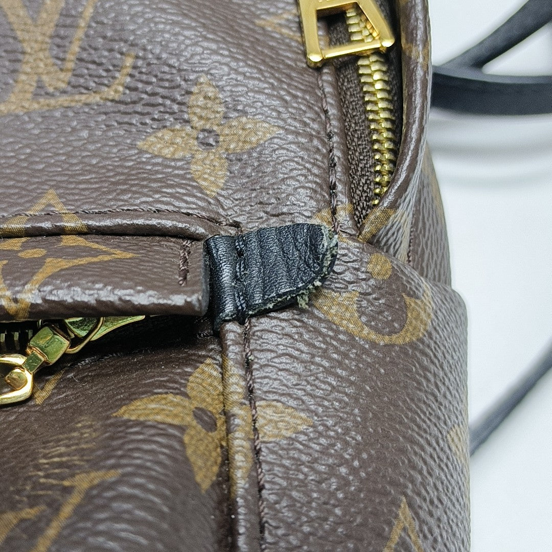 PALM SPRINGS Mini Monogram Coated Canvas Brown