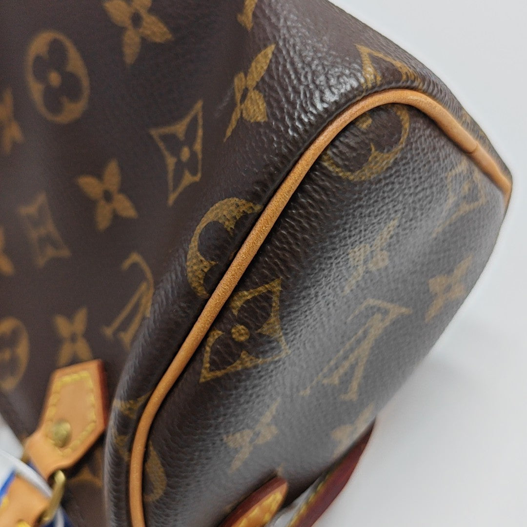 SPEEDY Nano Monogram Coated Canvas Brown