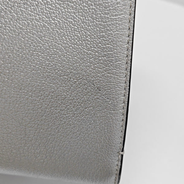 Diorever Calfskin Silver