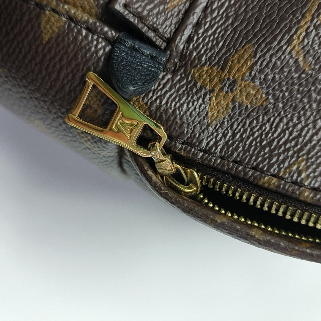 PALM SPRINGS Mini Monogram Coated Canvas Brown