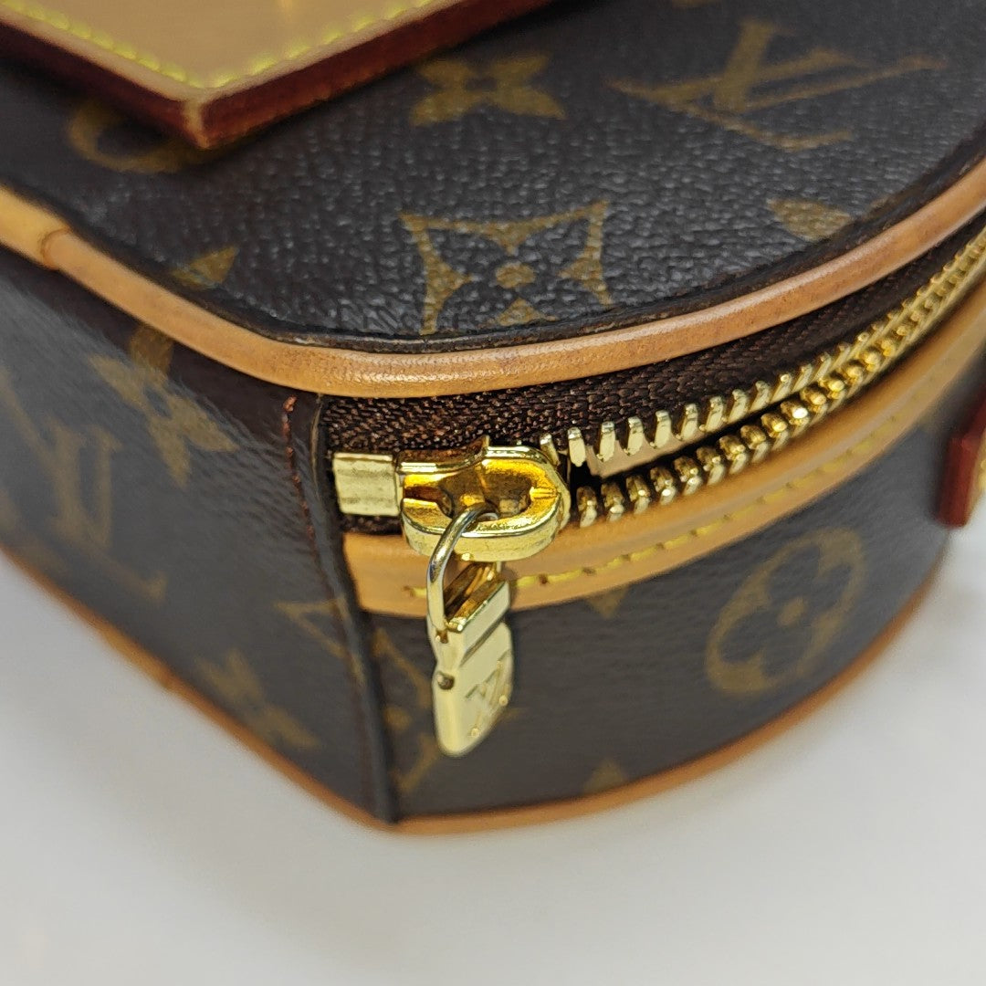 BOITE CHAPEAU Mini Monogram Coated Canvas Brown