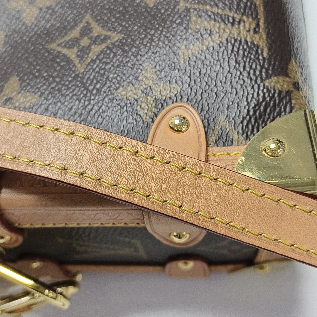SIDE TRUNK PM Monogram Coated Canvas Brown