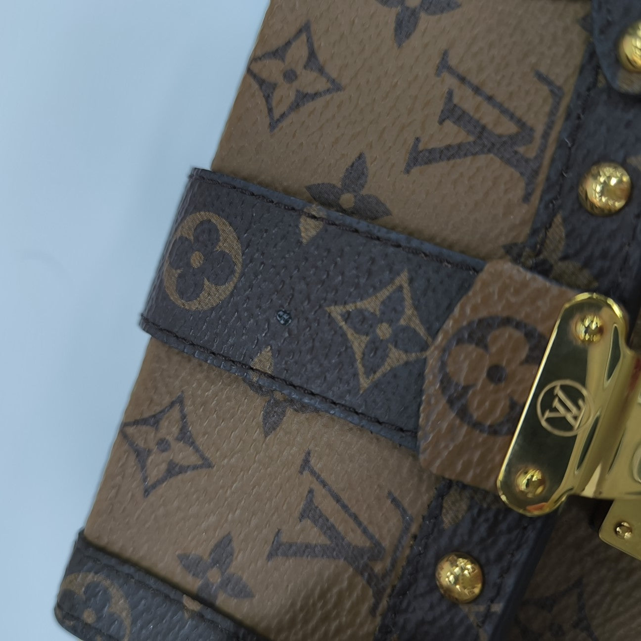 TRUNK Monogram Coated Canvas Brown