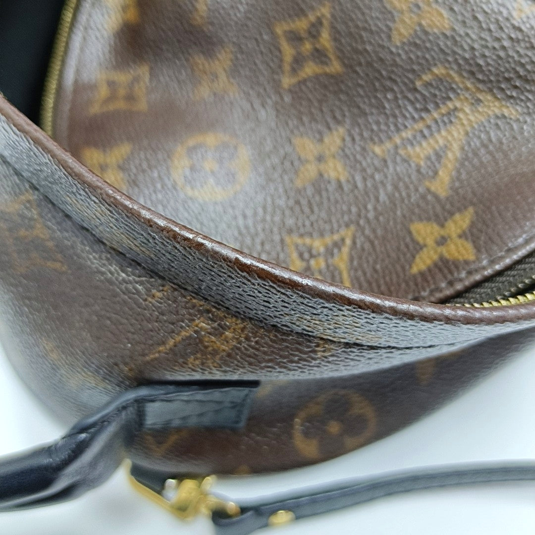 Authenticated pre-owned  PALM SPRINGS Mini Monogram Coated Canvas Brown - Backpack at Looply